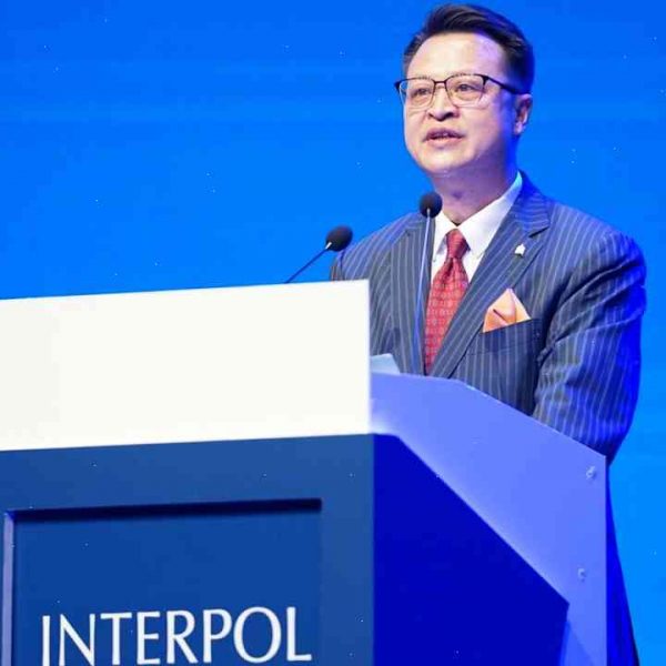 China arrests journalist on Interpol most-wanted list